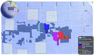 Comparative Reproductive Biology of Deep-Sea Ophiuroids Inhabiting Polymetallic-Nodule Fields in the Clarion-Clipperton Fracture Zone